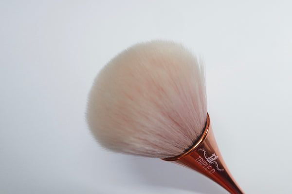 Duster Brush